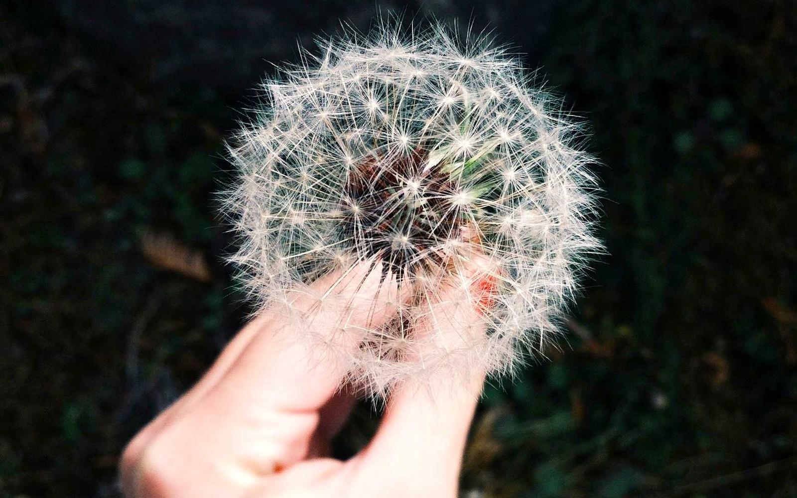 Rock Climber Silhouette Sunset